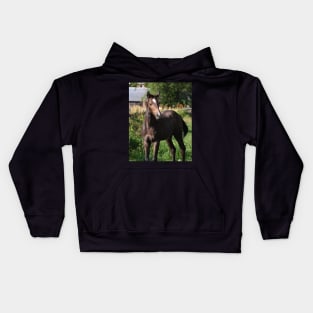 TB COLT Kids Hoodie